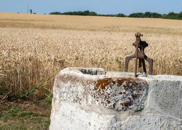 La Grange Du Hameau Сasa de vacaciones Clion (Charente-Maritime)